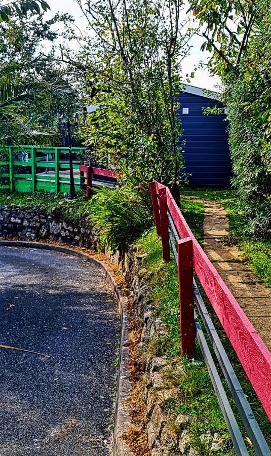 Palm Cottage Redruth Dış mekan fotoğraf